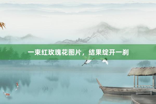 一束红玫瑰花图片，结果绽开一刹