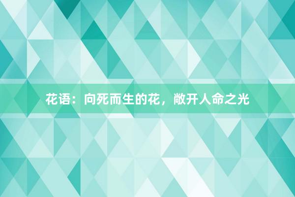 花语：向死而生的花，敞开人命之光