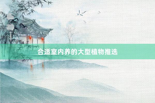 合适室内养的大型植物推选