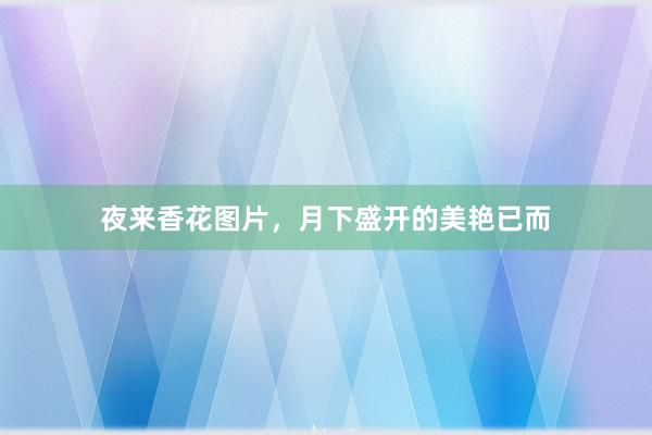 夜来香花图片，月下盛开的美艳已而