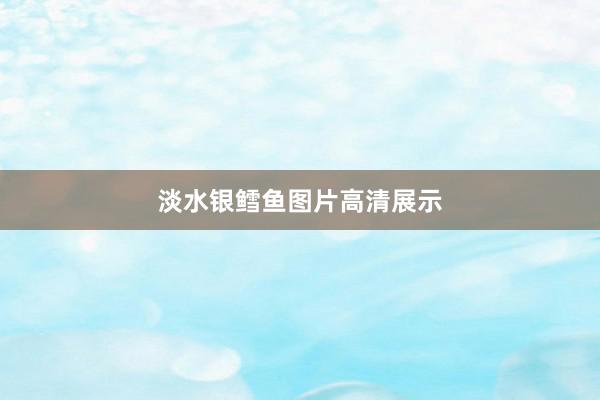 淡水银鳕鱼图片高清展示