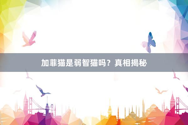 加菲猫是弱智猫吗？真相揭秘